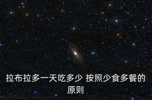 拉布拉多一天吃多少 按照少食多餐的原則