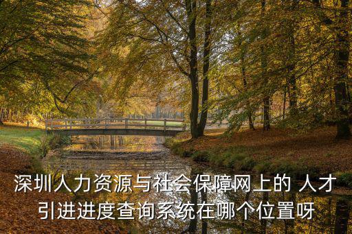 深圳人力資源與社會保障網上的 人才引進進度查詢系統在哪個位置呀