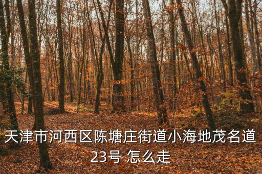 天津市河西區(qū)陳塘莊和悅匯，天津市河西區(qū)小海地陳塘莊街地址