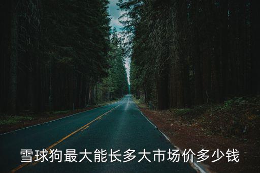雪球狗最大能長多大市場價多少錢
