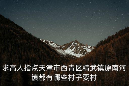 求高人指點天津市西青區精武鎮原南河鎮都有哪些村子要村