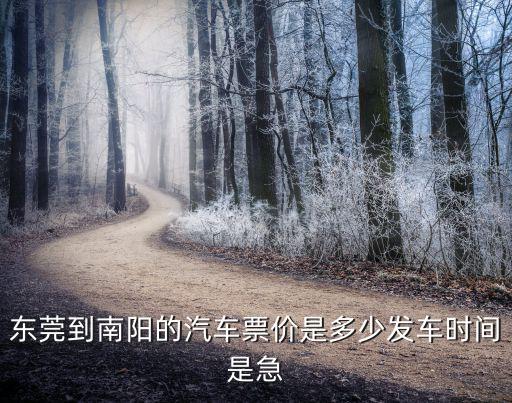 東莞到南陽的汽車票價是多少發(fā)車時間是急