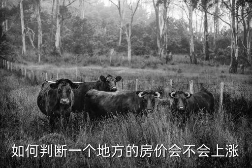 如何判斷一個地方的房價會不會上漲