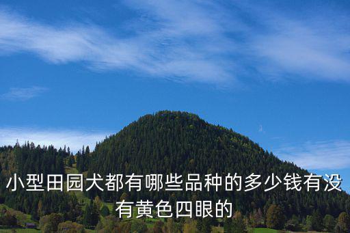 小型田園犬都有哪些品種的多少錢有沒有黃色四眼的
