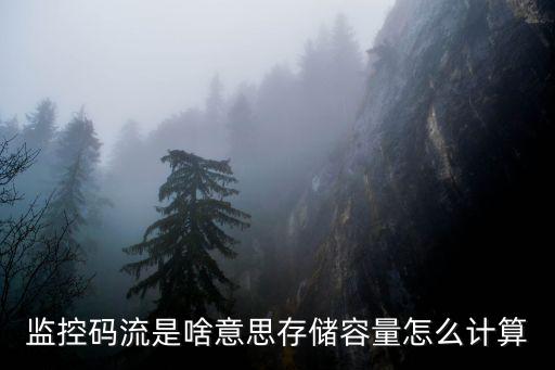 怎么得出監控攝像頭的碼流，在哪看海康攝像頭子碼流參數