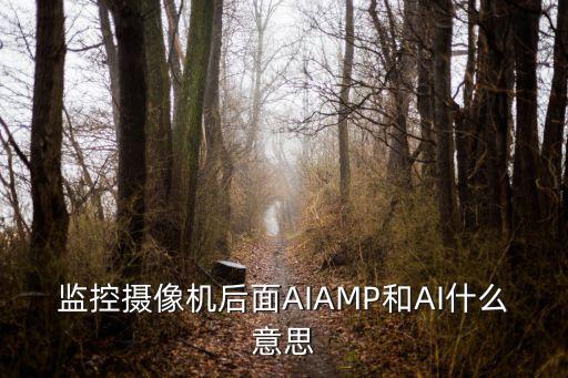 監(jiān)控攝像機(jī)后面AIAMP和AI什么意思