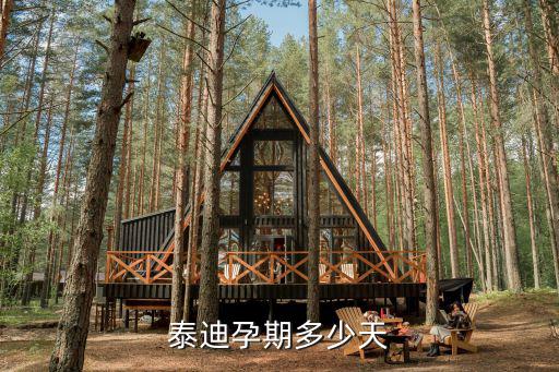 泰迪孕期多少天，泰迪懷孕一般多長時間