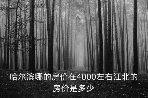 哈爾濱哪的房價在4000左右江北的房價是多少