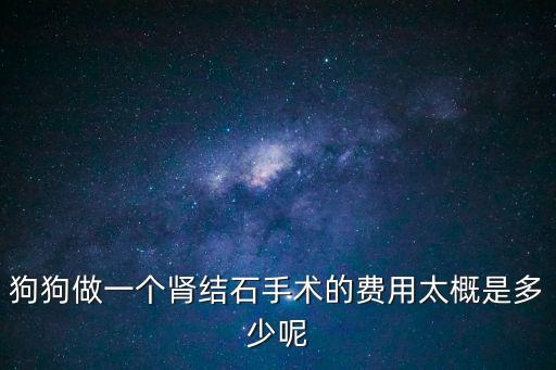 雪納瑞結石手術多少錢，狗狗肚子里有石子去寵物醫院做個取石子手術多少錢