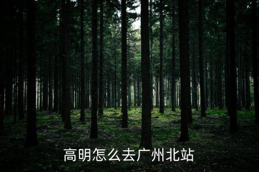 高明怎么去廣州北站