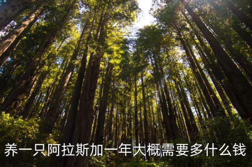 養(yǎng)一只阿拉斯加一年大概需要多什么錢