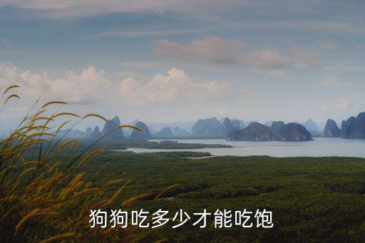 狗狗吃多少才能吃飽