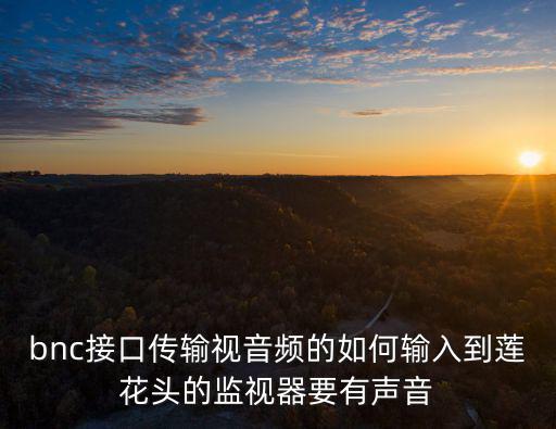 bnc接口傳輸視音頻的如何輸入到蓮花頭的監視器要有聲音