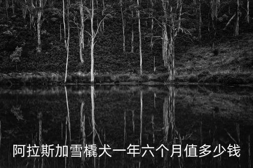 阿拉斯加雪橇犬一年六個月值多少錢