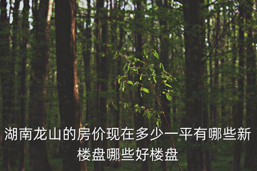 湖南龍山的房價現在多少一平有哪些新樓盤哪些好樓盤