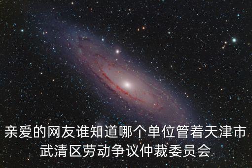 親愛(ài)的網(wǎng)友誰(shuí)知道哪個(gè)單位管著天津市武清區(qū)勞動(dòng)爭(zhēng)議仲裁委員會(huì)