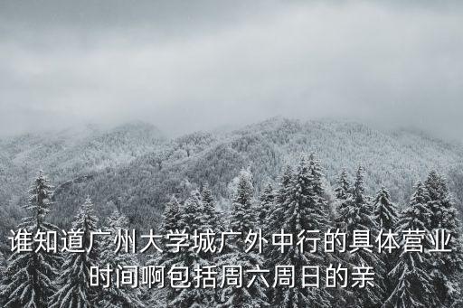 誰知道廣州大學(xué)城廣外中行的具體營業(yè)時間啊包括周六周日的親