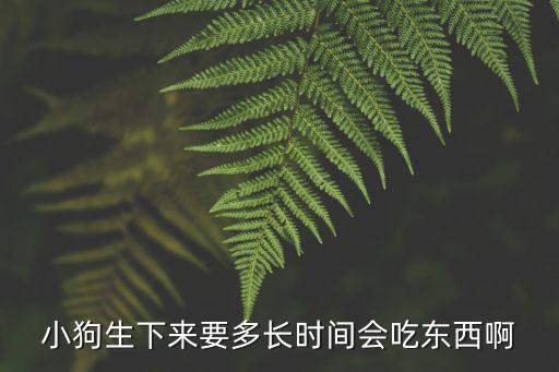 小狗生下來要多長時間會吃東西啊