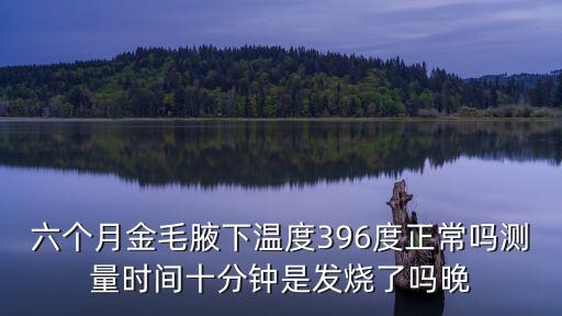 六個月金毛腋下溫度396度正常嗎測量時間十分鐘是發(fā)燒了嗎晚