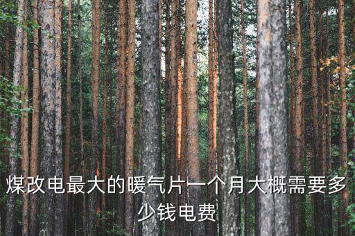 煤改電最大的暖氣片一個(gè)月大概需要多少錢電費(fèi)