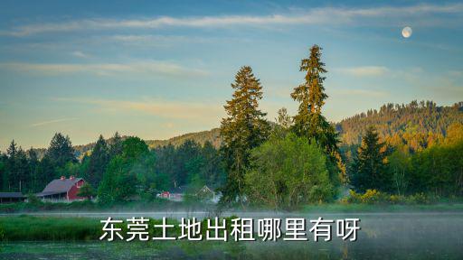東莞土地出租哪里有呀