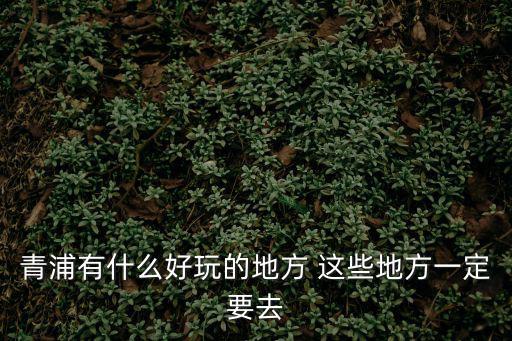 上海市青浦區油壓地方，青浦區有什么好玩的地方或旅游景點公園什么嗎