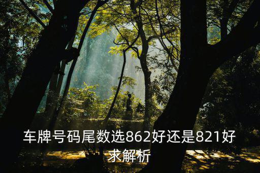 車牌號碼尾數選862好還是821好求解析