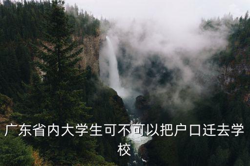 廣東省內大學生可不可以把戶口遷去學校