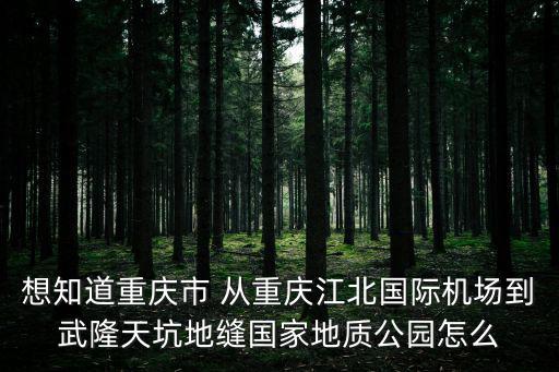 想知道重慶市 從重慶江北國(guó)際機(jī)場(chǎng)到武隆天坑地縫國(guó)家地質(zhì)公園怎么