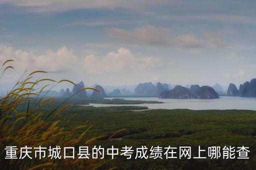重慶市城口縣的中考成績在網上哪能查