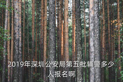 2019年深圳公安局第五批輔警多少人報名啊