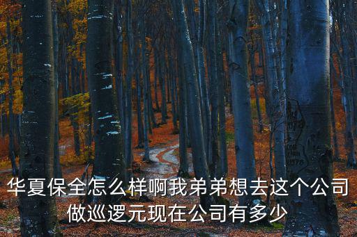 華夏保全怎么樣啊我弟弟想去這個公司做巡邏元現在公司有多少