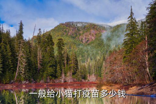 一般給小貓打疫苗多少錢