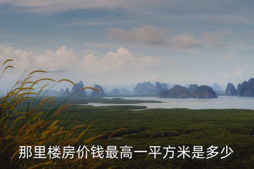那里樓房價錢最高一平方米是多少