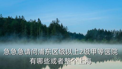 急急急請問浦東區級以上2級甲等醫院有哪些或者整個上海