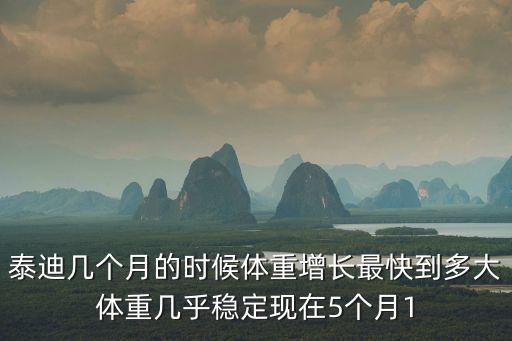 泰迪幾個月的時候體重增長最快到多大體重幾乎穩定現在5個月1