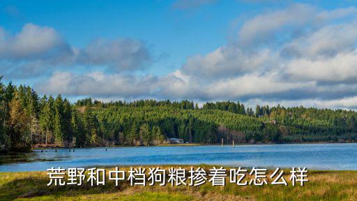 荒野和中檔狗糧摻著吃怎么樣