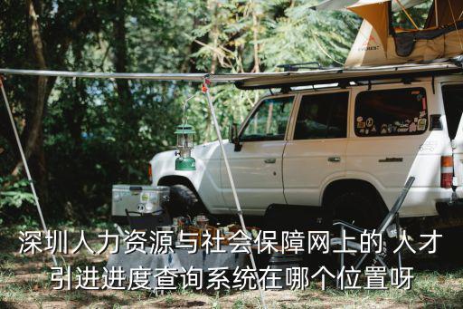 深圳人力資源與社會保障網上的 人才引進進度查詢系統在哪個位置呀
