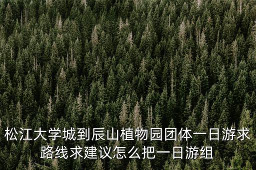 松江一日游最佳路線圖，上海松江新城一日游應(yīng)該如何安排