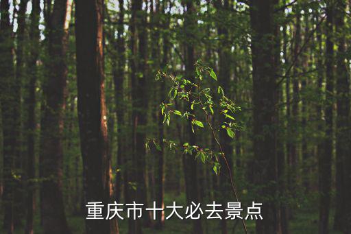 重慶市十大必去景點