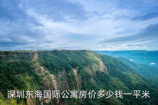 深圳東海國(guó)際公寓房?jī)r(jià)多少錢(qián)一平米