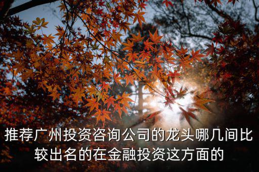 廣州頂尖咨詢公司，廣州有什么出名的咨詢公司啊