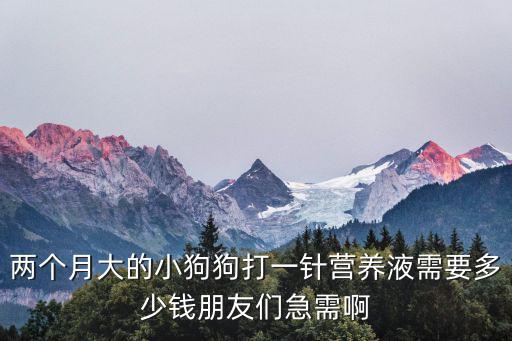 兩個月大的小狗狗打一針營養液需要多少錢朋友們急需啊