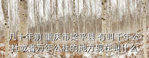 幾十年前 重慶市梁平縣 有叫千年公社或者萬年公社的地方現在叫什么