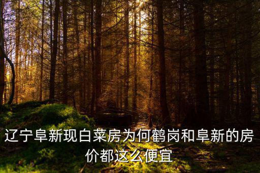 遼寧阜新現白菜房為何鶴崗和阜新的房價都這么便宜