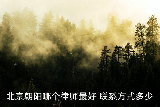 北京朝陽哪個律師最好 聯系方式多少