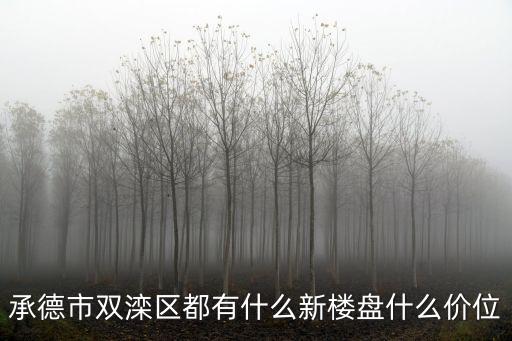 雙灤區哪個小區房價最低，承德市雙灤區都有什么新樓盤什么價位