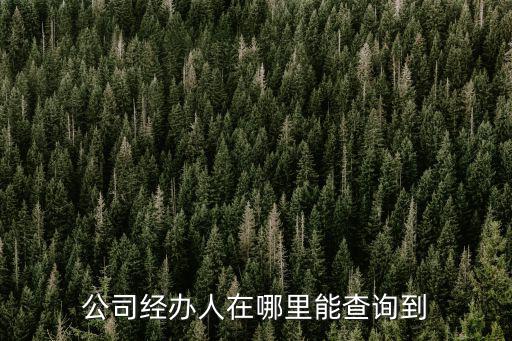 公司經(jīng)辦人在哪里能查詢到