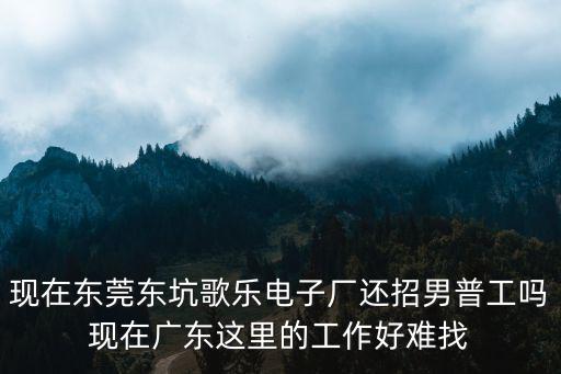 現在東莞東坑歌樂電子廠還招男普工嗎現在廣東這里的工作好難找