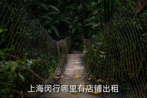 上海市閔行區門面房，上海市閔行區燈輝路有沒有店面出租